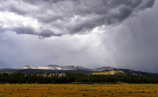 «Порадовать прогнозом не смогу»: Вильфанд рассказал о погоде в Центральной России в праздники