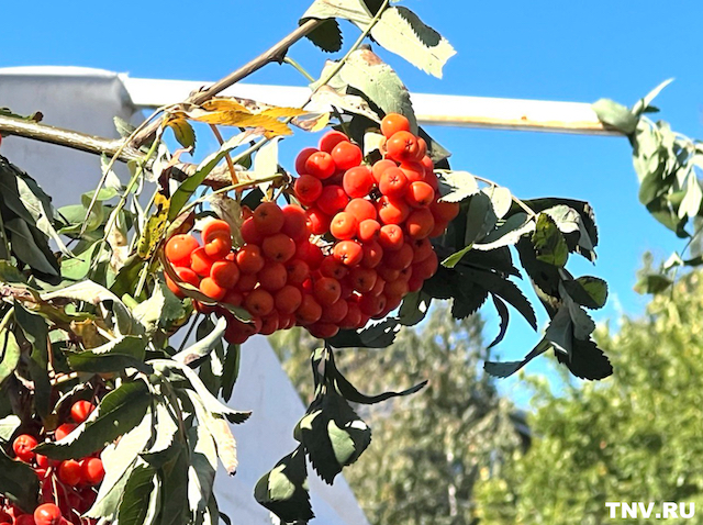 В Татарстане наступит бабье лето: синоптики обещают неделю без дождей