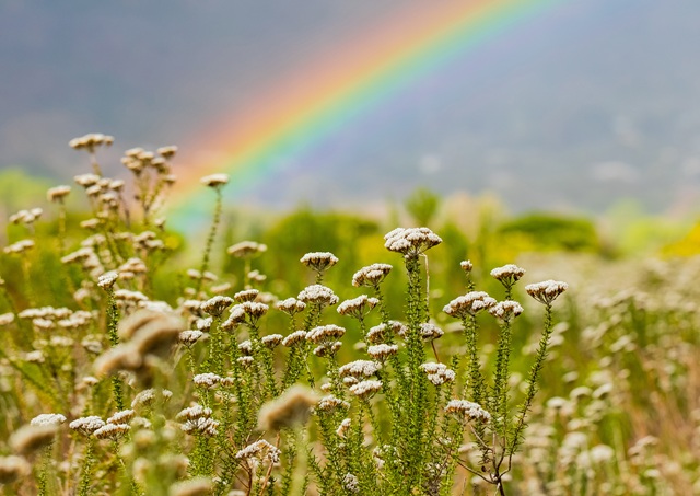 Прогноз на июнь в Татарстане раскрыли в Гидрометцентре