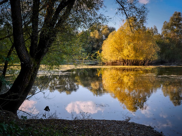 В Челнах висящий под мостом труп мужчины обнаружили спустя два дня