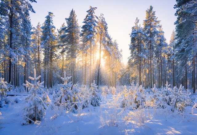Оттепель ненадолго: вернутся ли в Москву 30-градусные морозы, ответила Макарова 