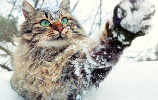 23 ноябрьдә Татарстанда -14 градуска кадәр суытачак