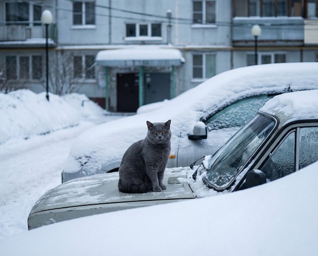 В середине первой мартовской недели в Татарстане похолодает до -11 градусов