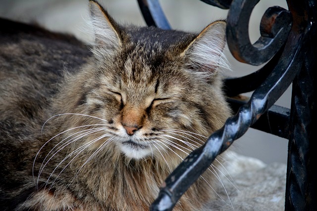 Кратковременные дожди, грозы и 31-градусный зной накроют Татарстан 25 июля