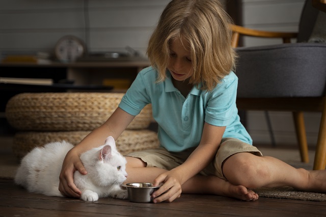 Ребенок просит питомца, а родители против: алгоритм действий от психолога КФУ