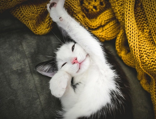 Татарстанлыларга июнь аендагы ике өстәмә ял көне турында искә төшерделәр