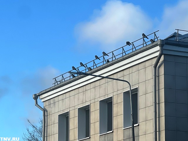 Татарстан замерзает: морозы усиливаются, но осадки не придут