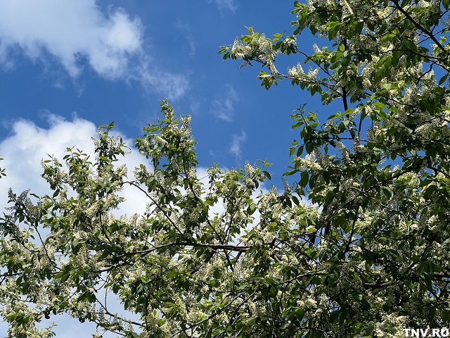 Кичә Казанда яңа җылылык рекорды теркәлгән