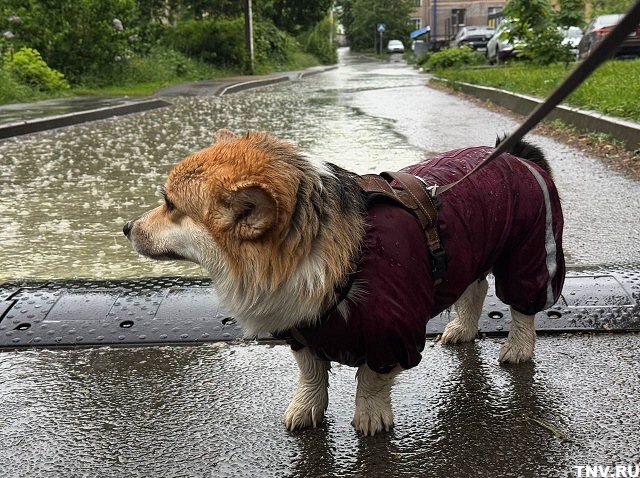 Стало известно, как долго продлится непогода в Татарстане