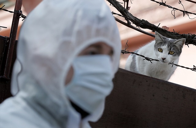 За 24 часа в Татарстане выявили 100 случаев коронавируса