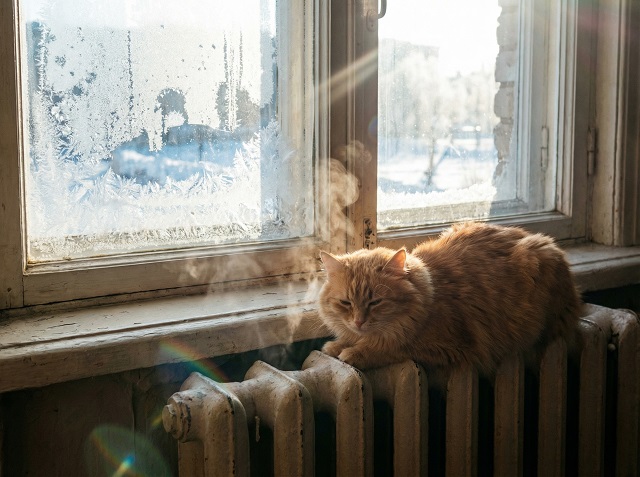 Иртәгә Татарстанда -31 градус фаразлыйлар