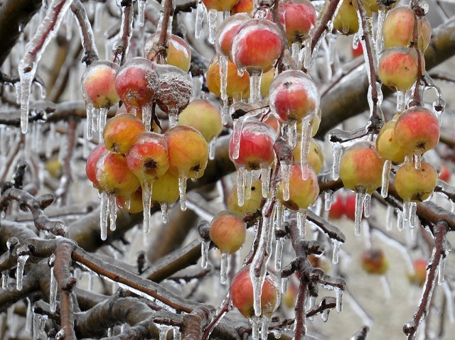 Жителей Татарстана предупредили о приближении ледяных дождей