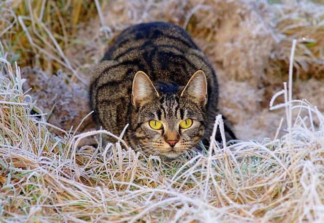 Метель и стужа до -7 градусов ожидаются в Татарстане в начале трехдневной рабочей недели