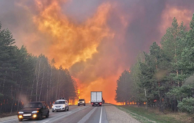 Президент России пообещал поддержку погорельцам Курганской области
