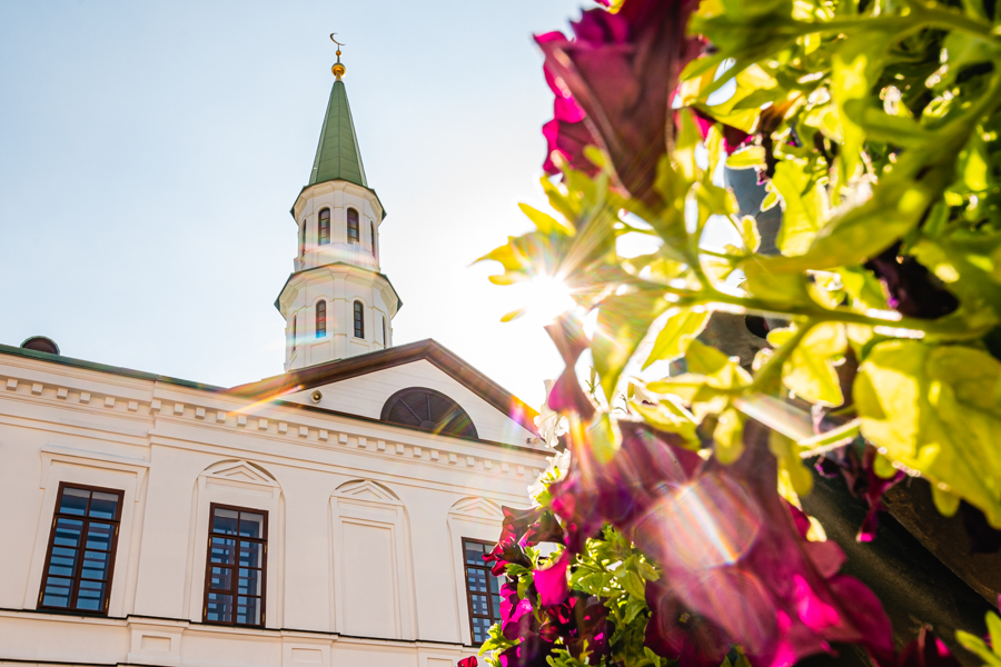 Фитыр һәм фидия сәдакалары күләме билгеле