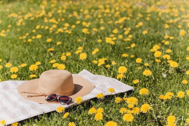 Профессор КФУ назвал условие, при котором лето может стать аномально жарким