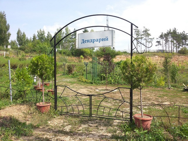 Ботанический сад КФУ планируют сделать особо охраняемой территорией