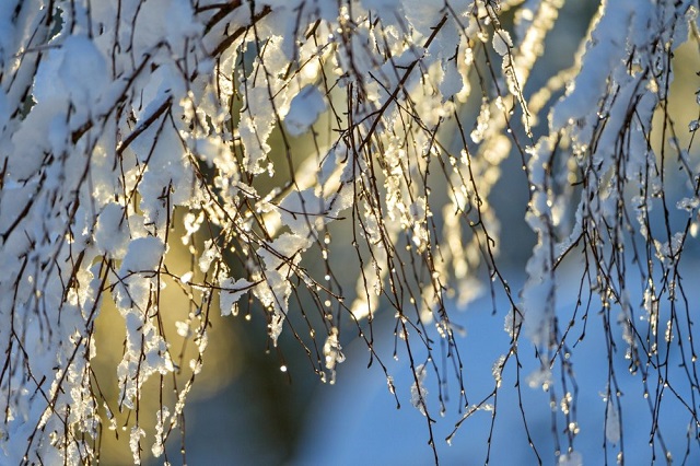 КФУ доценты Татарстанда кайчан җылыта башлаячагын әйтте