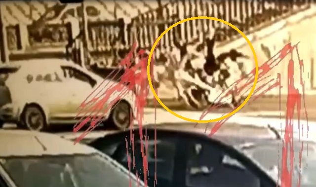 Жуткое ДТП: байкер насмерть сбил женщину на «зебре» - видео