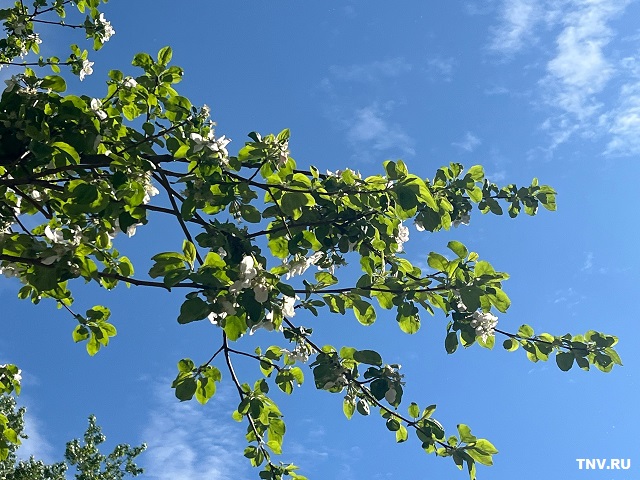 27-градусную жару прогнозируют в Татарстане в начале выходных