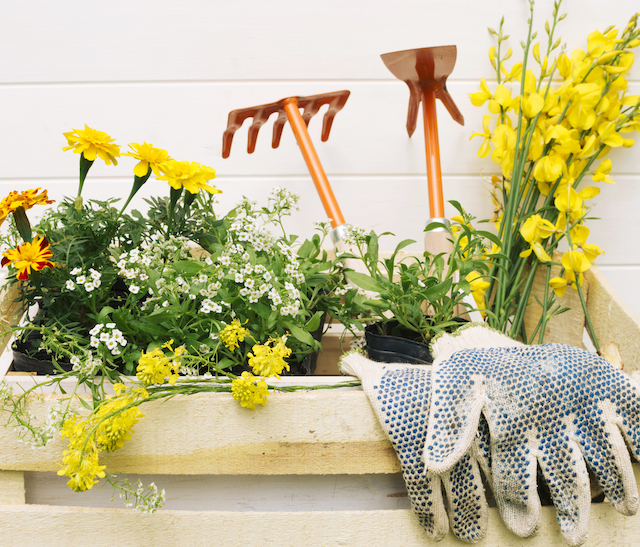 Дачникам рассказали, как подготовить участок к весеннему сезону