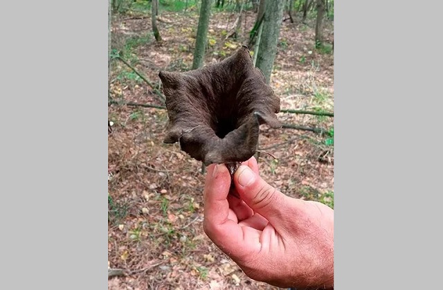 Долго мечтал найти: житель Татарстана нашел в лесу трубу смерти