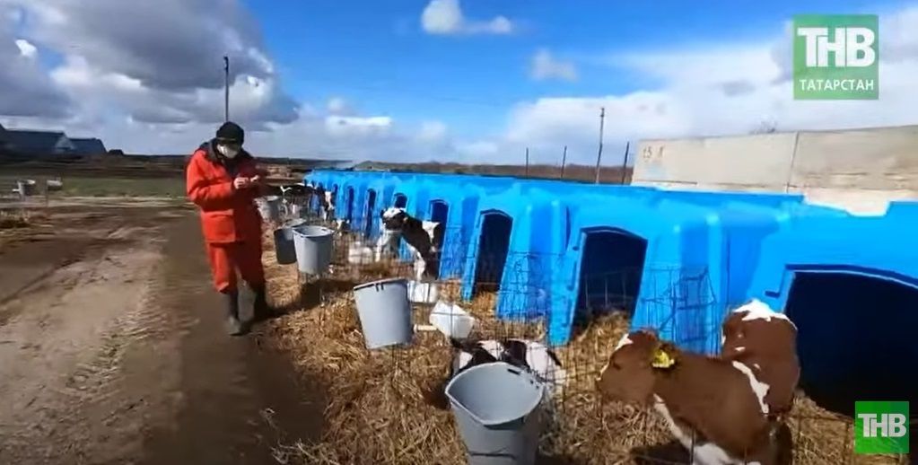 Адель Хайруллин, «КВ Агро»: «Жизни продолжается, работа продолжается, по-другому нельзя» - видео