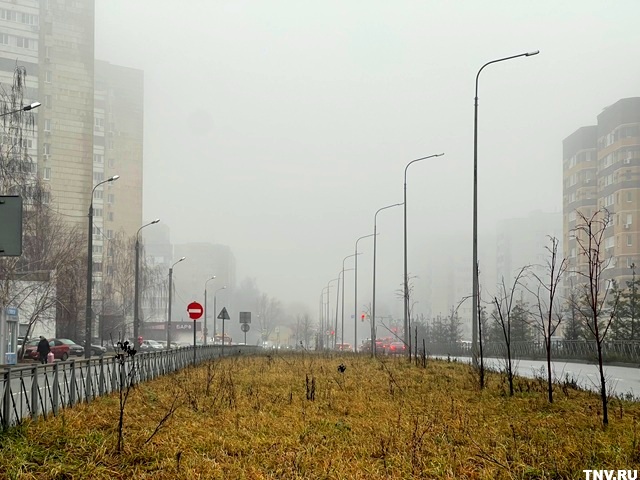 Зима без снега: чего ждать Татарстану в начале декабря, раскрыли в Гидрометцентре