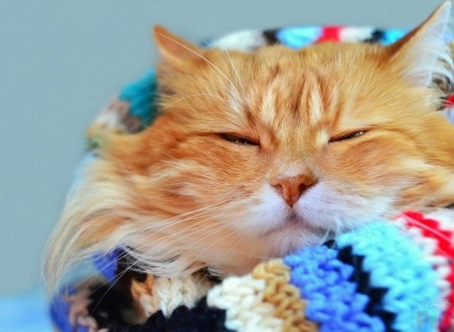 Салкын җәй: Татарстанда +3 градуска кадәр суытачак