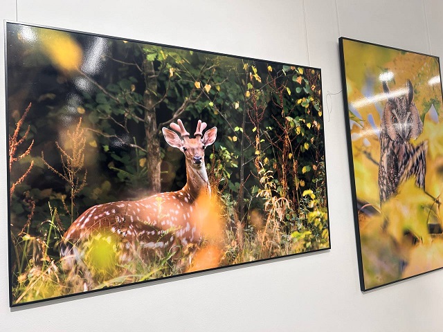 Международный фестиваль дикой природы «Золотая черепаха» стартует в Казани