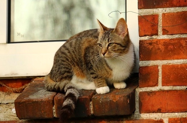 Татарстанда суыта! 13 апрельгә һава торышы