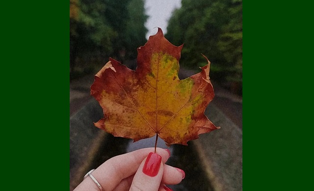 Татарстанда салкынча һава саклана 