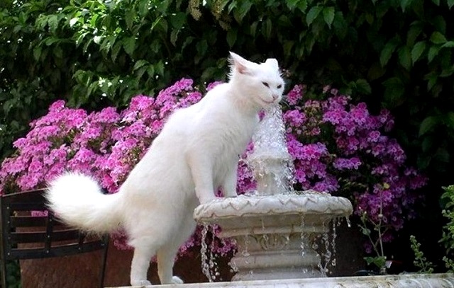 В конце мая в Татарстане температура воздуха превысит климатическую норму на 6 градусов