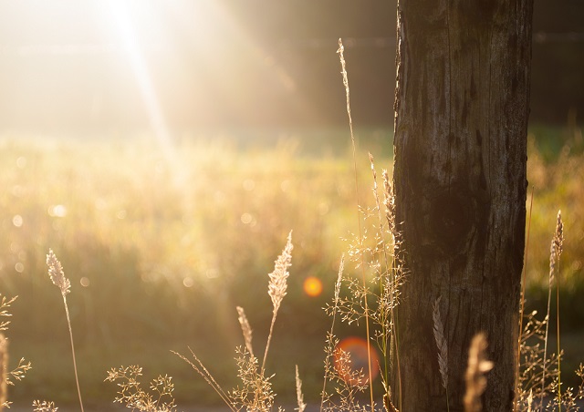 В Гидрометцентре Татарстана прогнозируют 27-градусную жару на выходных