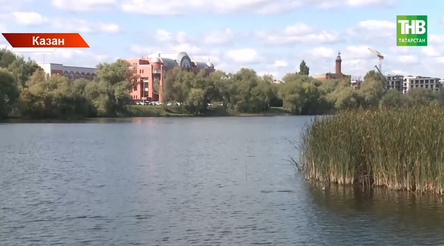 Татарстанда быел көзен "әбиләр чуагы" ике тапкыр булырга мөмкин