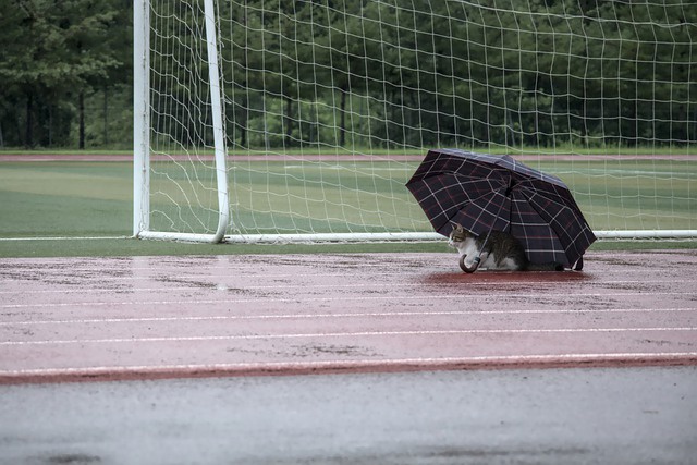 7 июня в Татарстане ожидается непогода