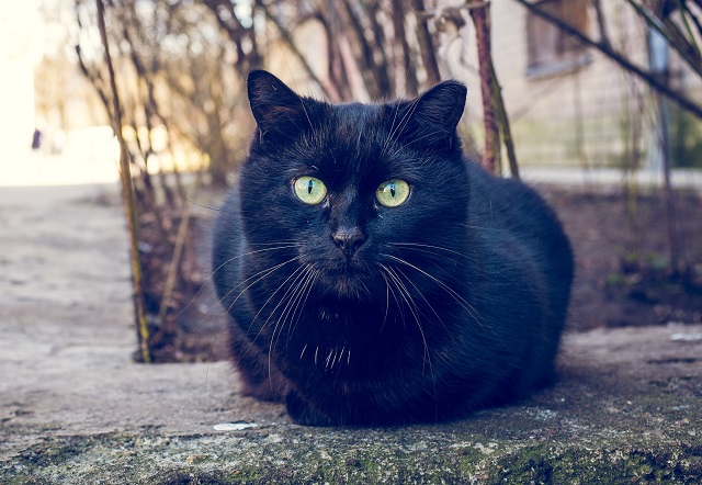 Дожди и до +7 градусов ожидаются в Татарстане в начале выходных