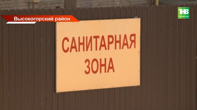 Тревожная тенденция: 10-й карантин по бешенству ввели в Татарстане с начала года