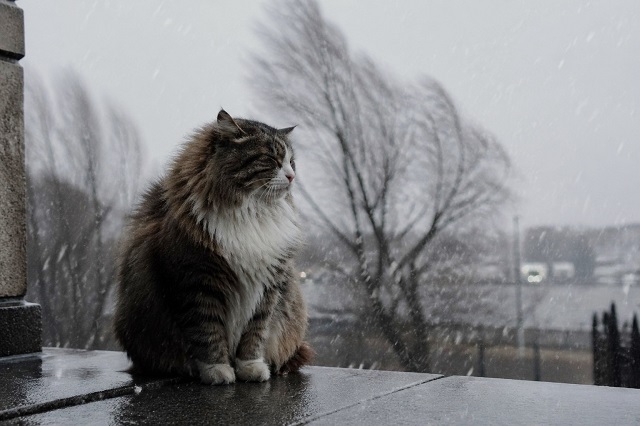 Прогноз на финал апреля в Татарстане озвучили в Гидрометцентре