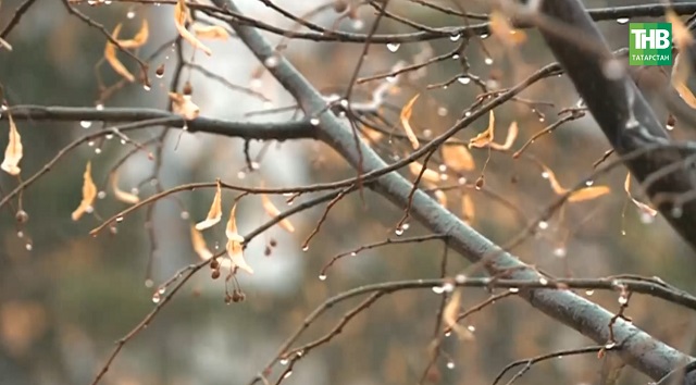 Әбиләр чуагы артта калды, алда безне нинди һава торышы көтә?