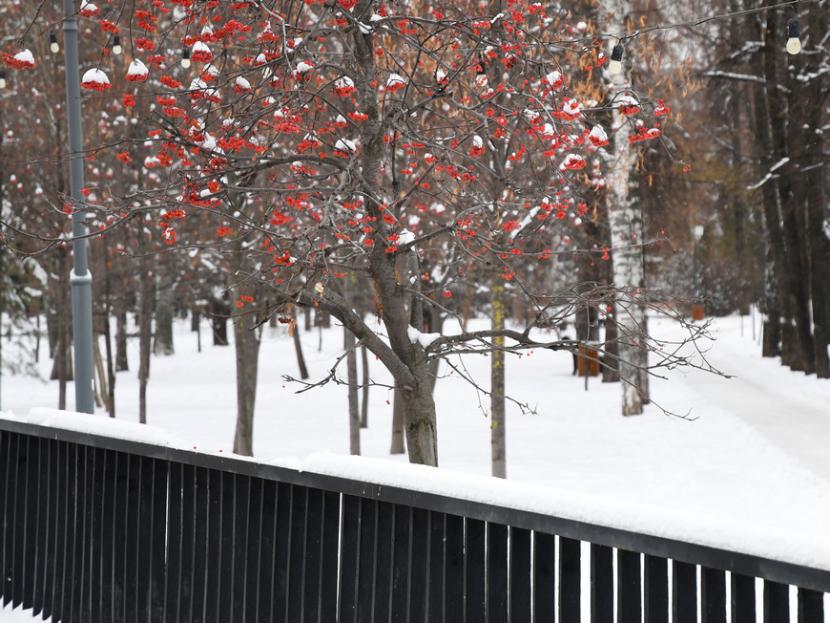 На выходных в Татарстане ожидается плюсовая температура без осадков