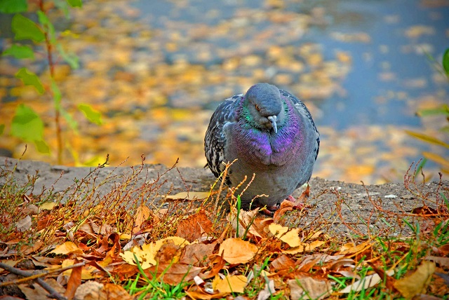 Татарстанлыларны суык шимбә көтә