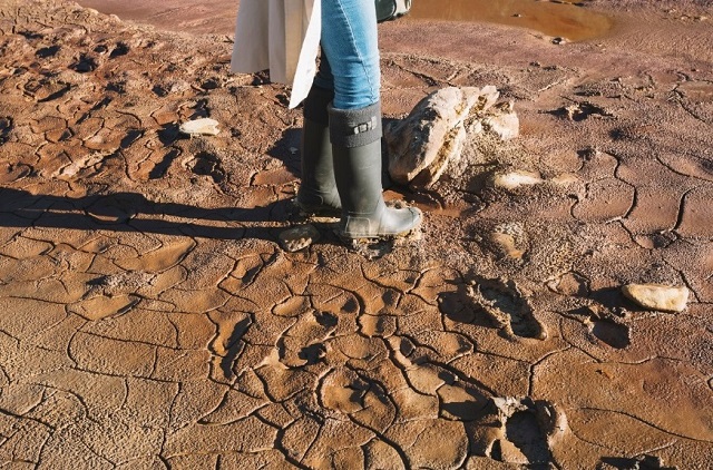 Опасное агрометеорологическое явление зафиксировали в нескольких районах Татарстана