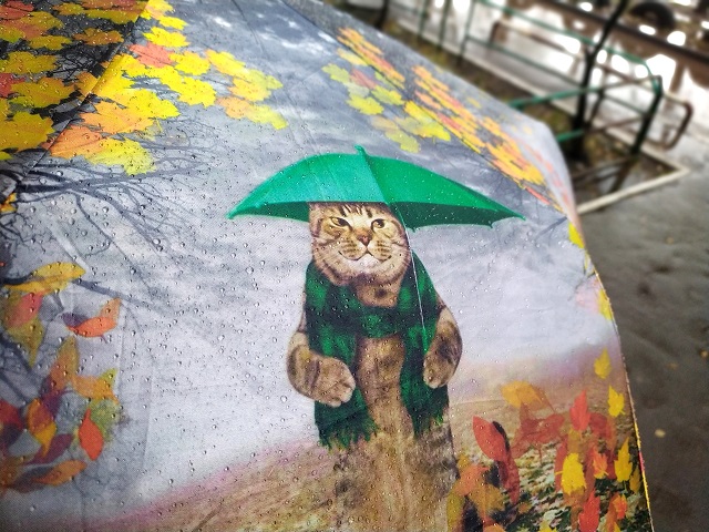 Ноябрь 2021 года стал аномально теплым для Татарстана