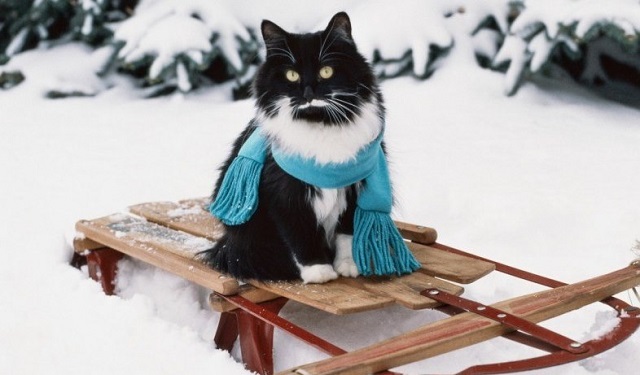 Иртәгә Татарстанда -33 градуска кадәр суытырга мөмкин