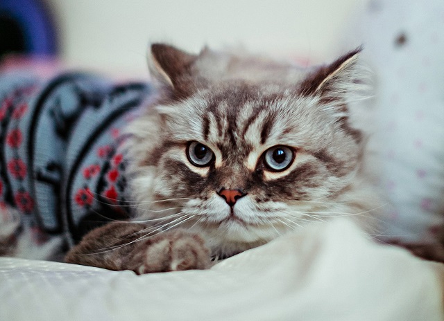 Татарстанда суыта! Һава торышы 0 градуска кадәр җитәчәк