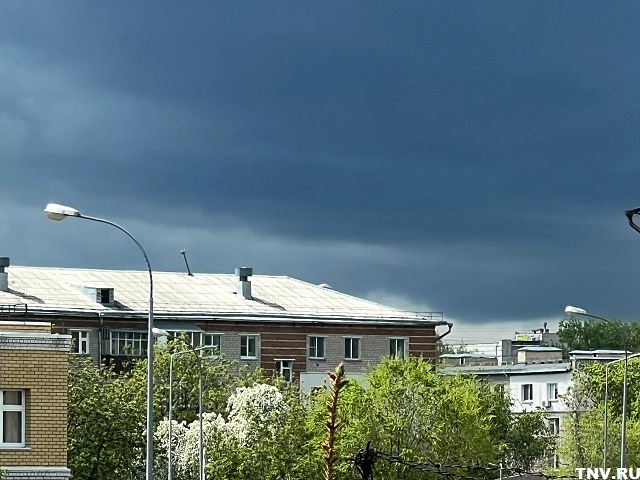 Татарстанцев призвали подготовиться к грядущим заморозкам