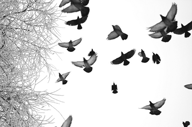 Вероятностный прогноз на отопительный период в Татарстане опубликовали синоптики