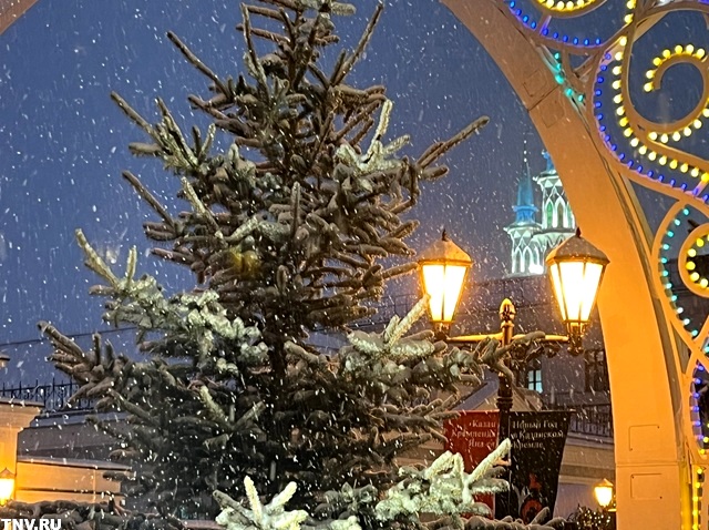 Когда города Татарстана украсит снег и останется ли он до весны, ответил Гоголь