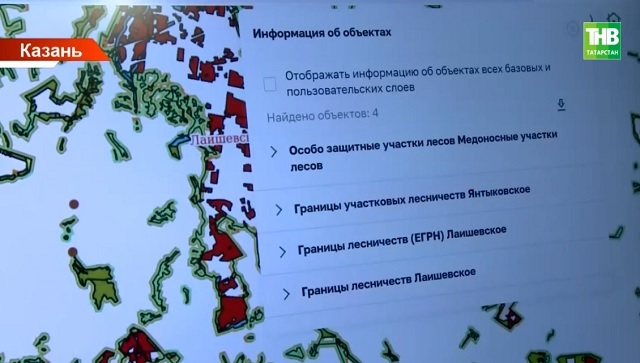 В РФ запустили онлайн-систему лесного комплекса